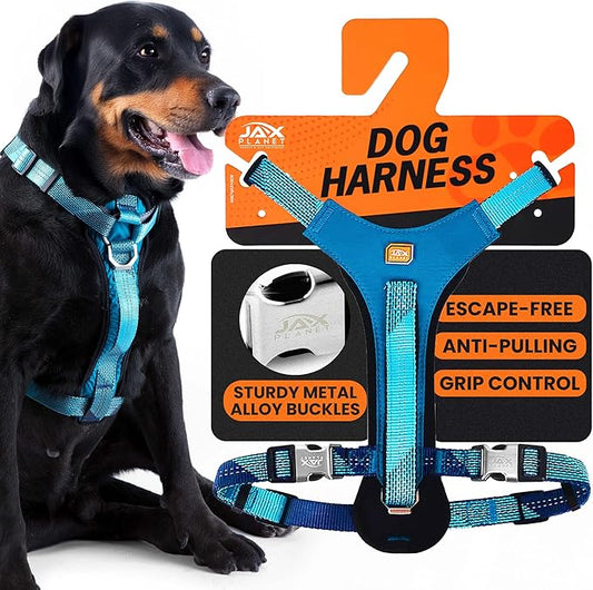 No-Pull Dog Harness with Handle - Escape Proof, Anti-Pulling, Grip Control, Multi-Angle Reflective for Safe Walks & Training, Easy On & Off, Metal Buckle–Pet Harness, Medium/Large Dogs- N H4- Blue