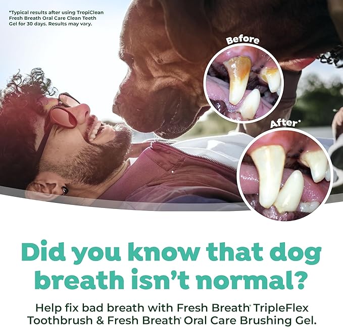 TropiClean Fresh Breath TripleFlex Toothbrush for Large Dogs | Use with TropiClean Toothpaste or Gel | 360-Degree Toothbrush | Complete Dental Care