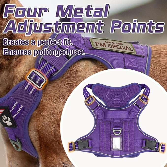 rabbitgoo Tactical Dog Harness Medium Sized Dog, No Pull Military Service Vest with Handle & Molle, Easy Control for Training Walking, Adjustable Reflective Straps, Purple, M