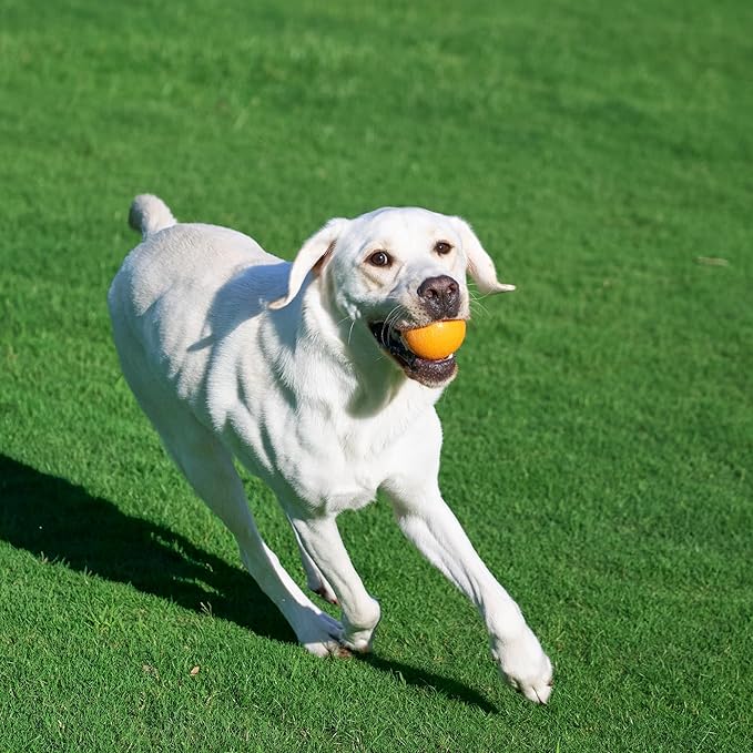 Amazon Basics Dog Toys, Interactive Fetch Rubber Balls, (Pack of 2), 3 inch, Blue, Orange