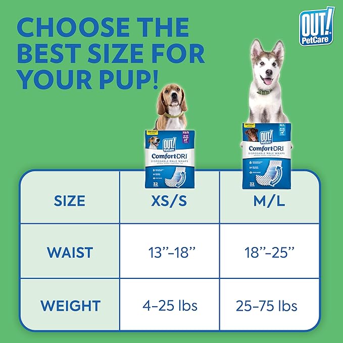 Out! PetCare Disposable Dog Diapers Male, Puppy Belly Band, Potty Training, Doggie Diapers, Belly Bands for Male Dogs, Puppy Training, Incontinence, (XS/S, 12ct)