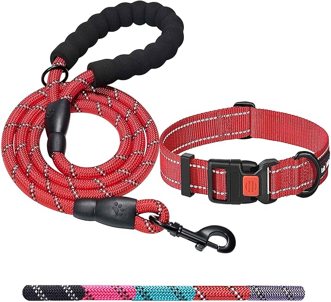 Heavy Duty Dog Leash - Comfortable Padded Handle, 5 ft Long - Dog Leashes for Small Medium Large Dogs (Leash+Collar L Neck 20"-25", Red)