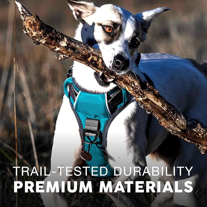 Embark Adventure Dog Harness, Easy On and Off with Front and Back Leash Attachment Points & Control Handle - No Pull Training, Size Adjustable and No Choke (Small - Teal Blue)