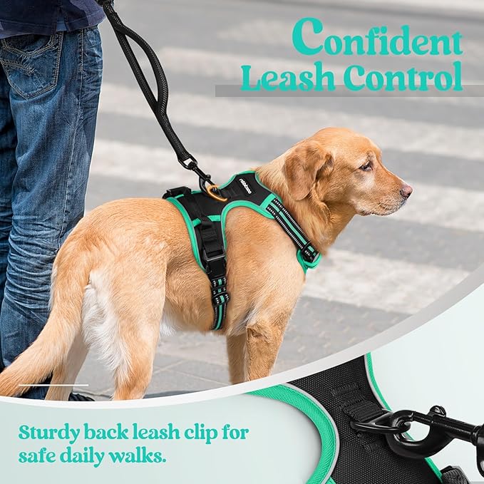 rabbitgoo Dog Harness No Pull with 2 Leash Clips, Adjustable Soft Padded, Reflective Oxford No Choke Pet Vest with Easy Control Handle for Medium Sized Dogs, Black & Turquoise, M
