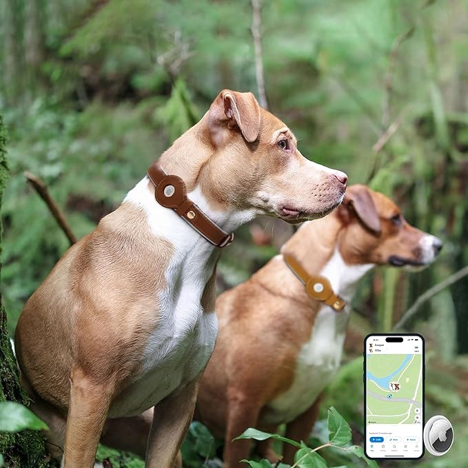 OOPSDOGGY Reflective Geniune Leather Airtag Dog Collar Soft Padded Collars for Small Medium Large Breed Dogs Puppy, 4 Sizes, 7 Colors (Brown, Medium, 12"-15")