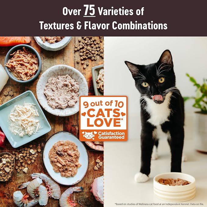 Wellness CORE Tiny Tasters Pate Adult Wet Cat Food, Natural, Protein-Rich, Grain Free, 1.75 Ounce Pouch, 12 Pack (Chicken)