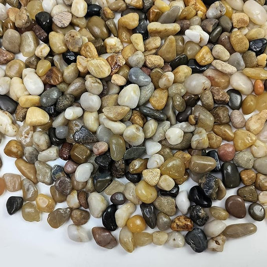 2 Pounds Pebbles for Plants, 3/8 Inch Polished Pea Gravel. Decorative Stones River Rocks for Succulent Soil Cover, Cactus, Aquarium, Vase and Outdoor Garden Landscaping