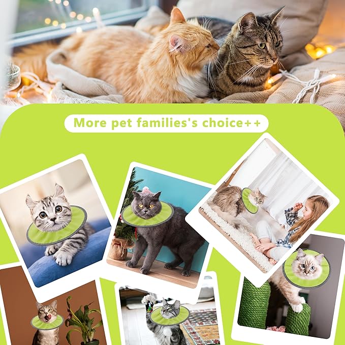 Lightweight Cat Cone Collar Soft, Soft Comfortable Cat Recovery Collar After Surgery, Elizabethan E Collar for Cats, Cone for Cats to Stop Licking (Water Green, Large)