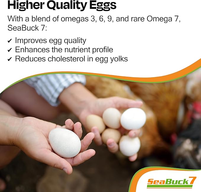 SeaBuck 7 Chicken & Bird Supplement with Sea Buckthorn to Improve Egg Quality (1-Month Supply for 20 Chickens) – Earlier Laying, Egg Production Booster & Higher Quality Eggs