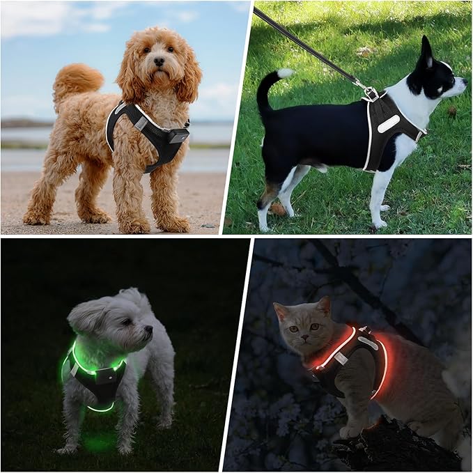 PceoTllar Light Up Dog Harness, LED No Pull Reflective Dog Harness, Flashing Lighted for Night Walking - Small/Medium, (Black Green,m)