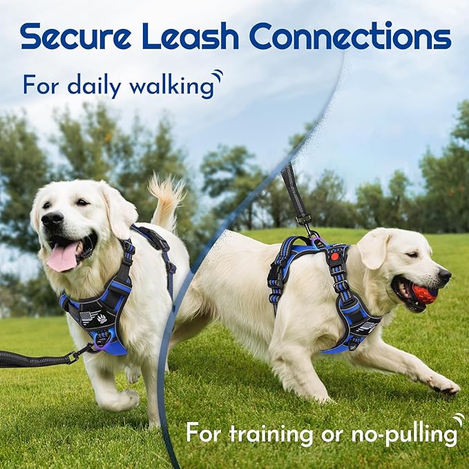 Eagloo Dog Harness Small Sized, Easy Wearing with 3 Buckles, Adjustable No Pull Pet Harness with 2 Rings for Walking, No Chock Reflective Soft Padded Vest with Control Handle, Blue & Black, S