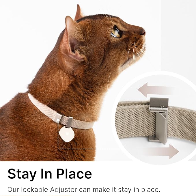 Safety Cat Collar Pro and Tag Set - U.S. IDA Gold Award, Elastic Release Cat Collar Charm Tag, Non Breakaway Cat Collar Adjustable with Charm for Kitten Small Large Cats (Burgundy, M)