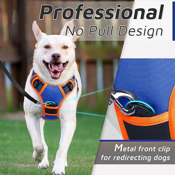 Eagloo Dog Harness Small Sized Dog, No Pull Service Vest with Reflective Strips and Control Handle, Adjustable and Comfortable for Walking, No Choke Pet Harness with 2 Metal Rings, Blue & Orange, S