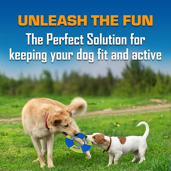 Nerf Dog Trackshot Toss and Tug Ring Outdoor Dog Toy 2 Pack, 9 Inch Dog Tug and Fetch Toy, for Medium and Large Breeds, Blue/Orange/Green
