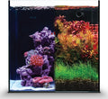 Ultum Nature Systems Dual AIO - Freshwater/Saltwater Compatible All in One Rimless Tank with Triple Chamber Filtration System, Integrated Filter Aquarium w/Leveling Mat - 17 Gallon, 40A, Black
