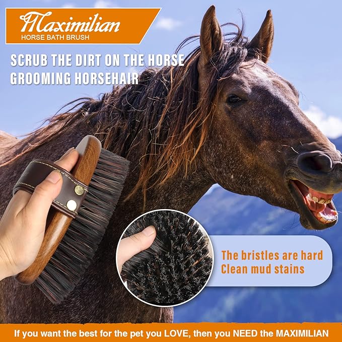 MAXIMILIAN World Class Handmade Equine Stiff Body Horse Brush. Professional Equine Grooming Tools. Effortlessly Removes Mud, Sweat and Dirt from Your Horses Hair.
