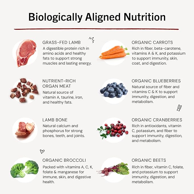 Stella & Chewy's Freeze-Dried Raw Dinner Patties - Dandy Lamb Recipe - High Protein Grain-Free Puppy & Dog Food - Perfect For Picky Eaters - 14 oz