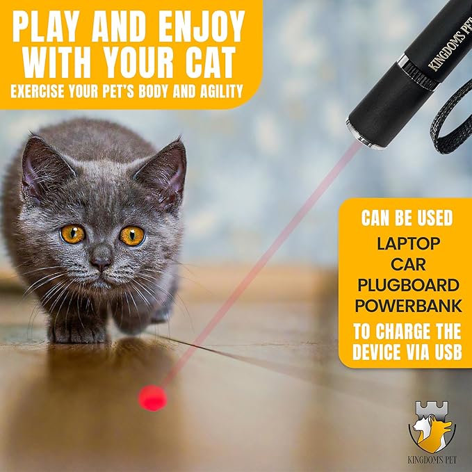KINGDOM'S PET 3-in-1 Interactive Cat Toy Set – Rechargeable Laser Pointer, Feather Teaser & Wand for Indoor Cats’ Play and Exercise
