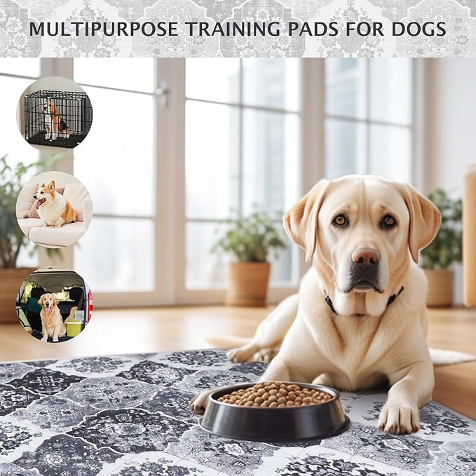 IEUUMLER Washable Pee Pads for Dogs, 2 Pack Reusable Pee Pads for Dogs Non-Slip Grip, Super Absorbent Waterproof Puppy Pads for Potty Training, Playpen, Crate, Whelping Box EU011 Black Grey, 30x20