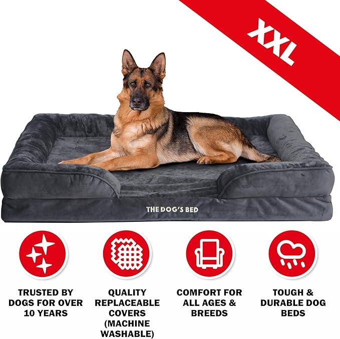 The Dog’s Bed, Orthopedic Standard Foam Waterproof Dog Bed with Standard Support, XXL Grey Plush, Waterproof, Supportive Dog Bed with Replaceable Covers, Veterinary Approved