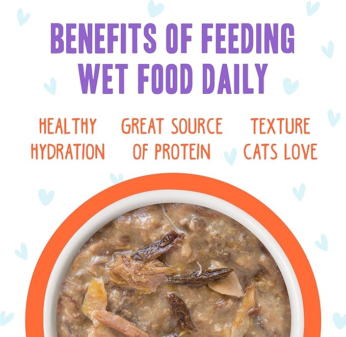 Weruva B.F.F. OMG - Best Feline Friend Oh My Gravy! Grain-Free Wet Cat Food Cans, Crazy 4 U! Chicken & Salmon, 2.8oz Can (Pack of 12)