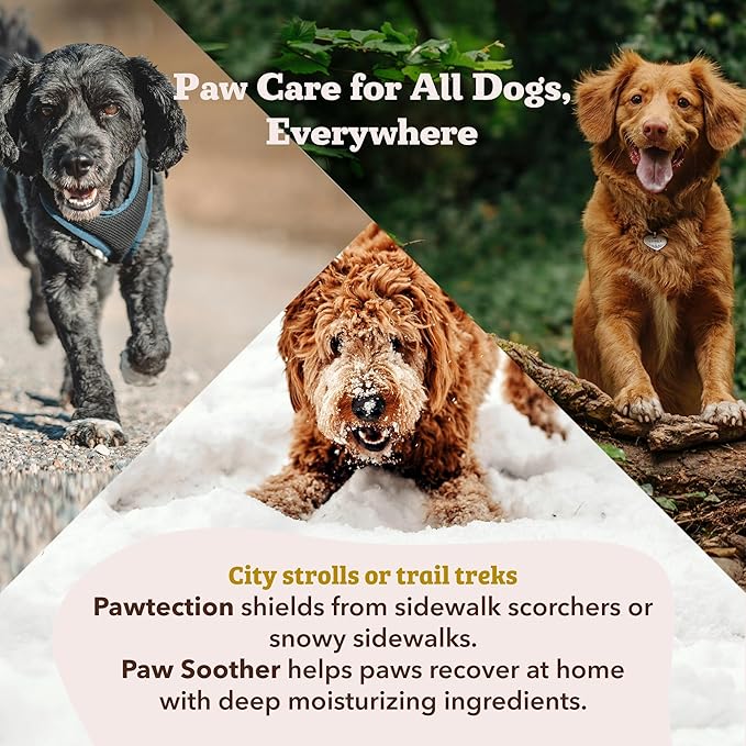 Natural Dog Company PawTection Balm for Dogs, Dog Paw Protector, Moisturizing Dog Paw Balm for Dry, Cracked Pad, Protects Paw from Extreme Weather, Paw Lotion for Allergies & Itching (2 oz Stick)