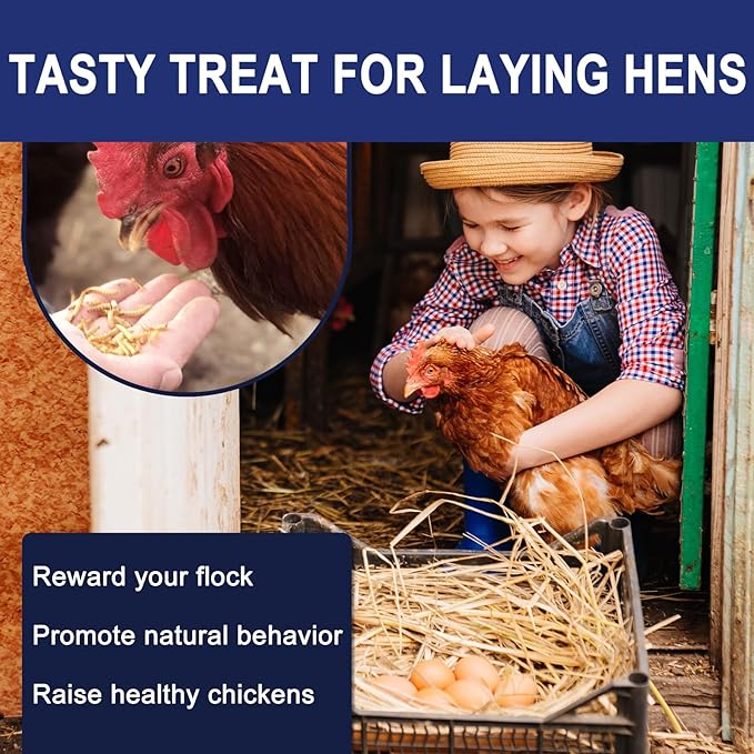 RANZ 10LBS Non-GMO Dried Mealworms for Chickens, High Protein Meal Worms, Premium Chicken Feed, Perfect Bird Food and Chicken Treats, Whole Large Mealworms for Wild Birds, Ducks, Fish