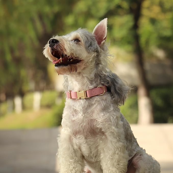 PET ARTIST Soft PU Leather Dog Collar, Bright & Classic Pink Dog Collar with Quick Release Rose Metal Buckle, Adjustable Nylon Padded Durable Pet Collars for Medium Dogs Girl, Neck Fit 13-19"