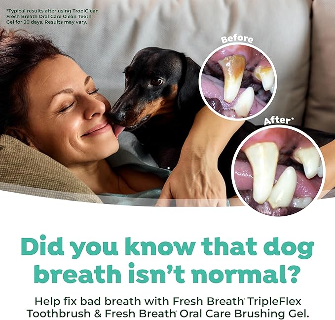 TropiClean Fresh Breath TripleFlex Toothbrush for Small & Medium Dogs | 360-Degree Dog Dental Cleaning | Dog Toothbrush for Small & Medium Breeds