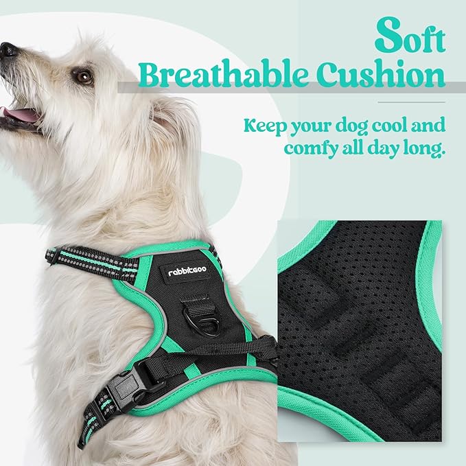 rabbitgoo Dog Harness No Pull with 2 Leash Clips, Adjustable Soft Padded, Reflective Oxford No Choke Pet Vest with Easy Control Handle for Puppy, Black & Turquoise, XS