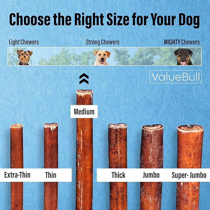 ValueBull Bully Sticks for Dogs, Medium 12 Inch, 100 Count - All Natural, Grass Fed, Single Ingredient, Long Lasting Dog Treats