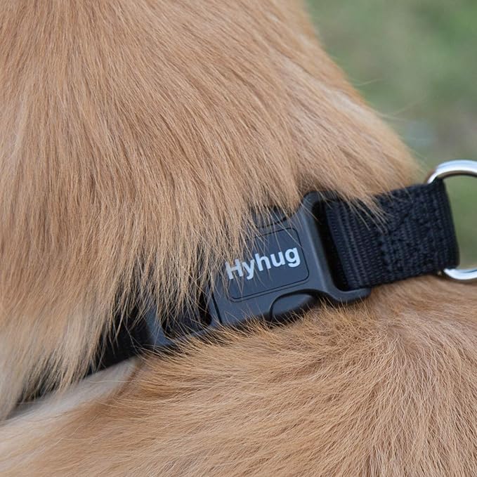 Hyhug Puppy Collar with Quick Release Buckle, Nylon Adjustable Durable Cute Dog Collar for Small Dogs, Male and Female(Small, Black)