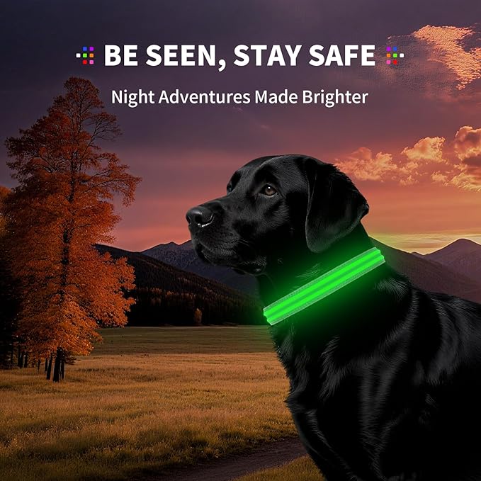 LED Dog Collar with Metal Buckle - USB Rechargeable Glow Collar for Dogs, Waterproof Light Up Dog Collar w/Reflective Strips - Adjustable Night Safety Collars by PetIsay(Green,Large)