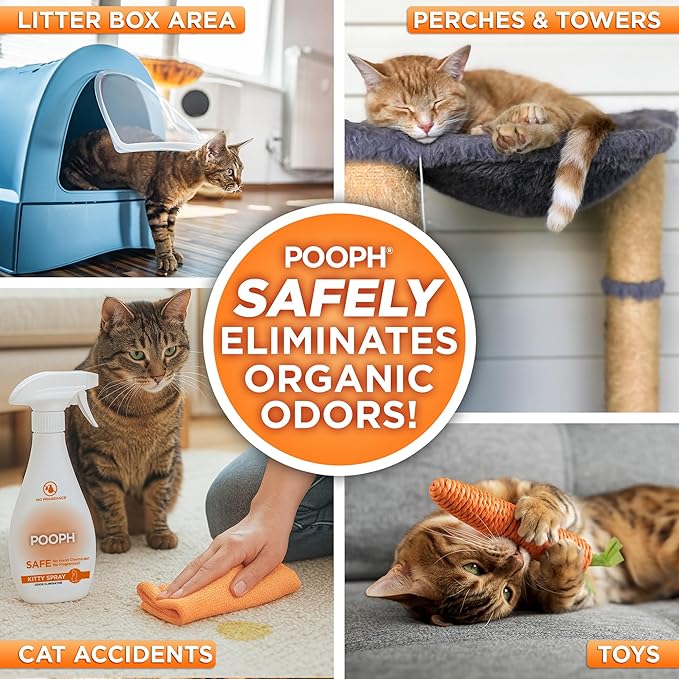 POOPH® LITTERIZER™ + Kitty Spray Bundle – Fragrance-Free Odor Eliminator for Litter & Cat Areas, Absorbs Moisture, Non-Toxic, No Harsh Chemicals, Patented Technology for Everyday Use