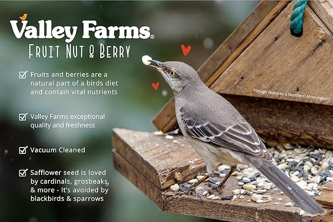 Valley Farms Fruit Nut & Berry 4 LB 2-Pack (8 LB Total) Wild Bird Food for Outside Feeders, Bird Seed with Dried Fruit, Peanuts Sunflower Hearts, Safflower High Energy Mix for Healthy Birds!