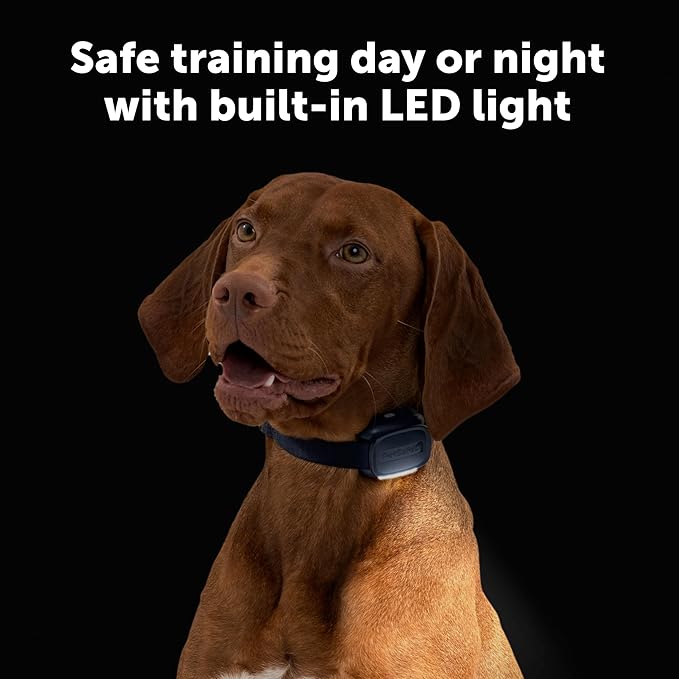 PetSafe Core Remote Trainer Add-A-Dog Collar – Extra Collar for Dog Training Collar with Remote – Waterproof – Tone, Vibration and 15 Levels of Static – Built-in LED Light