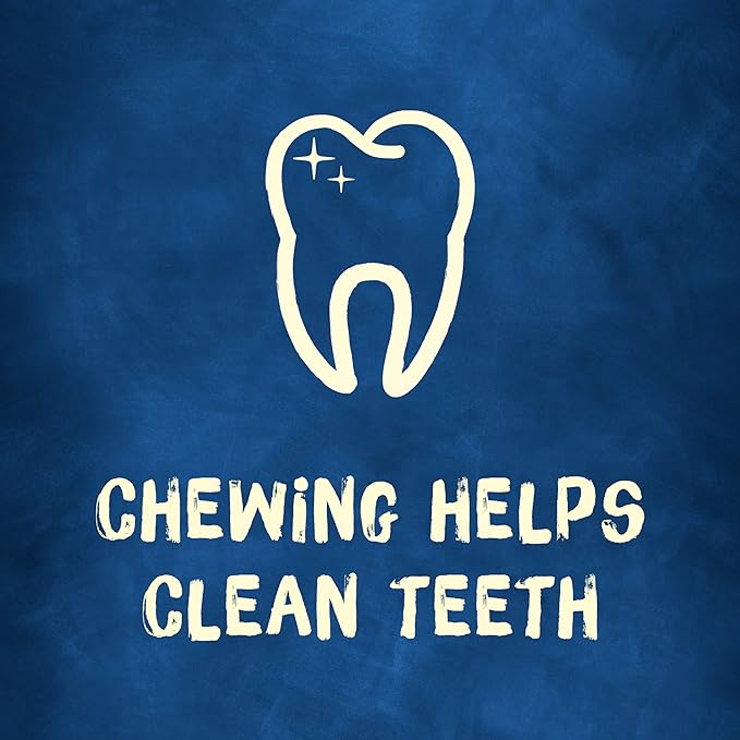 Purina Busy Bone Made in USA Facilities, Long Lasting Small/Medium Breed Adult Dog Chews, Peanut Butter Flavor - 10 ct. Pouch (Pack of 2)