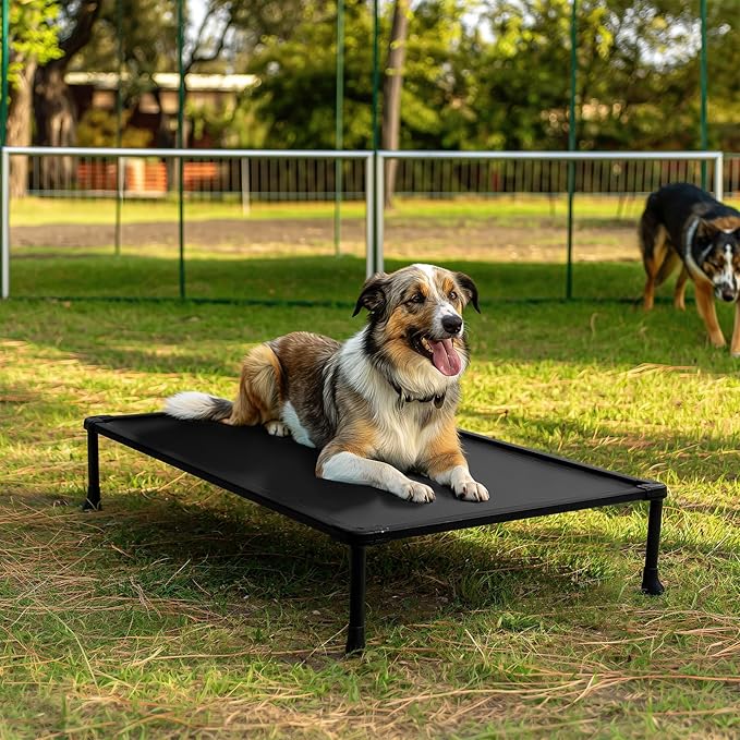 Veehoo Chew Proof Elevated Dog Bed, Durable Raised Dog Training Platform, Platform Dog Beds for Large Dogs, Raised Pet Cot Training System for Place, Agility, Indoor or Outdoor, CWC2420CP