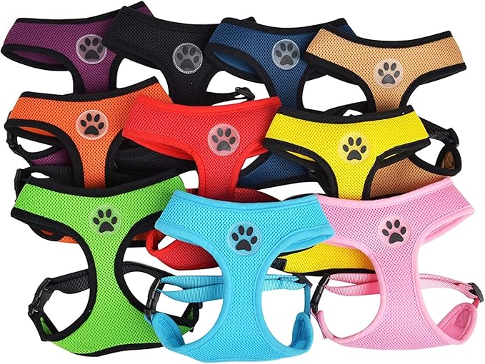 BINGPET Dog Vest Harness -Light Weight Breathable Sports Mesh - Pet Adjustable Harness Puppy Padded Harnesses Dog Vest Harness for Small Dogs