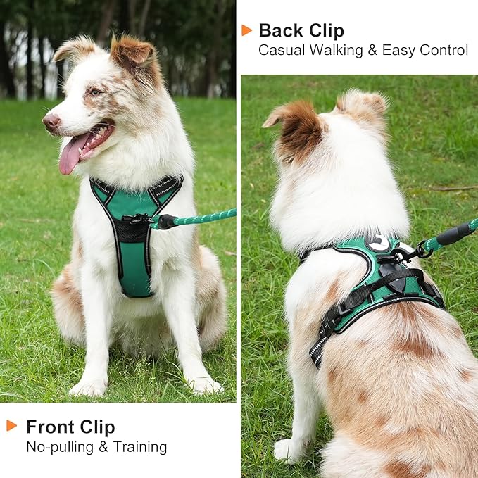Taglory Light Up Dog Harness, Rechargeable No Pull Dog Vest with 3 Lightning Modes, Reflective Dog Harness with 2 Leash Clips & 4 Adjustable Slide Strips for Large Dogs, Turquoise-Green, XL