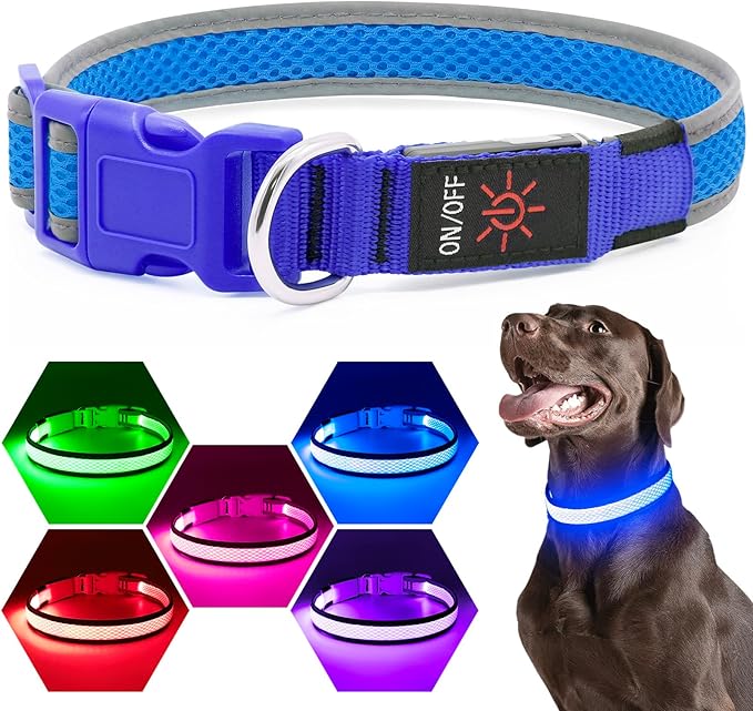 LED Dog Collar, Light Up Dog Collar USB Rechargeable, Brightest Dog Lights for Night Walking, Adjustable Dog Collar Light for Dog Safety(Small, Royal Blue)