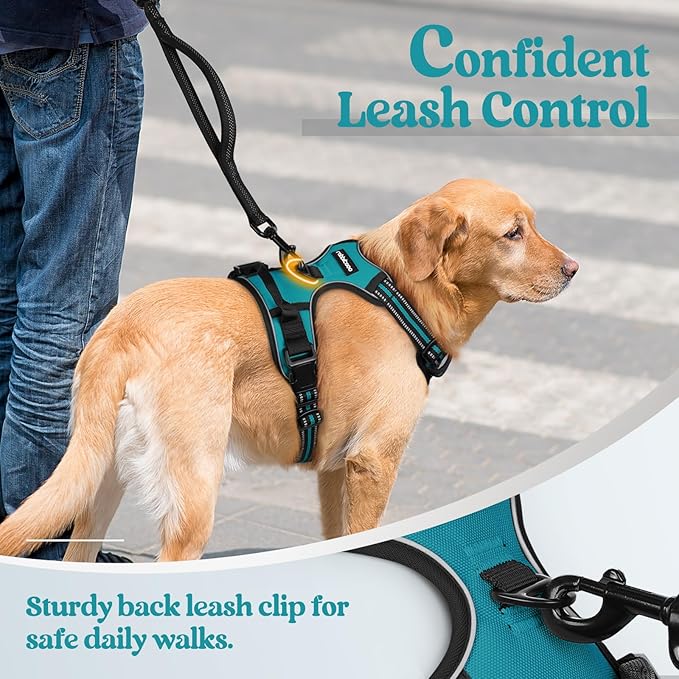 rabbitgoo Dog Harness No Pull with 2 Leash Clips, Adjustable Soft Padded, Reflective Oxford No Choke Pet Vest with Easy Control Handle for Small Dogs, Teal, S