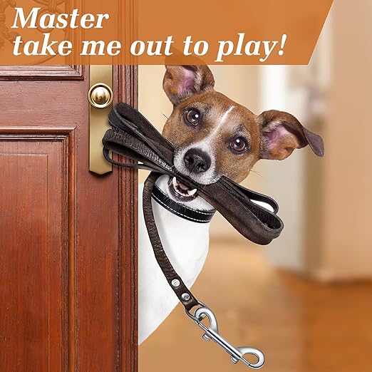 Hotop 20 Pcs 3.5 Inch Double Ended Bolt Snaps Hooks Zinc Alloy Trigger Chain Metal Clips Key Holder for Linking Key Chain Dog Leash Collar Pet Sling Feed Buckets(Silver)