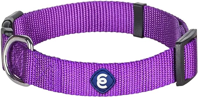 Blueberry Pet Essentials Small Dog Collar | Girl Dog Collars Fall | Female Dog Collar Small | Dark Orchid Dog Collars for Small Dogs | Quick Release Dog Collar | Dark Orchid Nylon Dog Collar