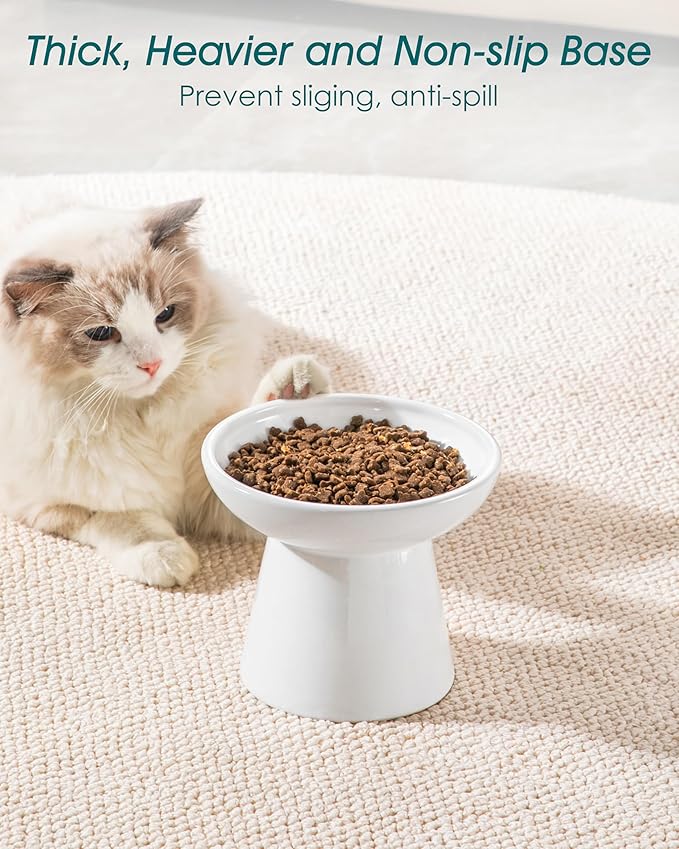 vancasso Ceramic Elevated Cat Bowls 2-Pack - 6.2" Extra Wide Raised Cat Food & Water Dishes, 5.1" Optimal Height Anti-Whisker Fatigue Shallow Bowls for Cats/Kittens/Dogs, Lead & Cadmium Free (White)