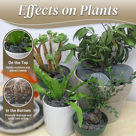 5 lbs Mexican Beach Pebbles, 0.3-0.6 Inch Small Pebbles for Pots Indoor Plants, Succulent, Vase, Fish Tank, Decorative River Rocks for Garden Landscaping, Home Decor, Outdoor Paving, Grey