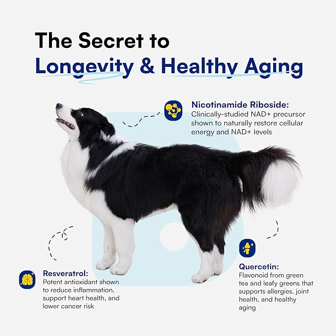 NAD+ Precursor & Senior Dog Supplement - 90 Soft Chews & Vitamins - NMN Alternative for Longevity, Anti-Aging & Energy - Nicotinamide Riboside, Resveratrol, Quercetin, Made with Pasture-Raised Chicken