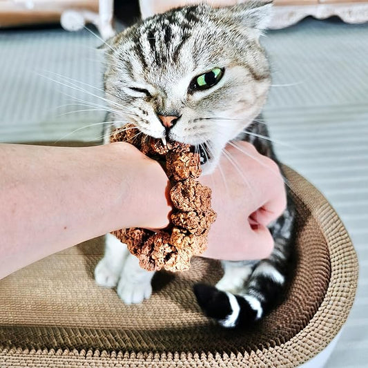 Natural Silvervine Gall Fruit Cat-Attracting Bracelet,Interactive Cat Toy for Indoor Cats,Cat Chew Toy with Gallfruit | Catnip & Silvervine Alternative, Stress Relief & Gift