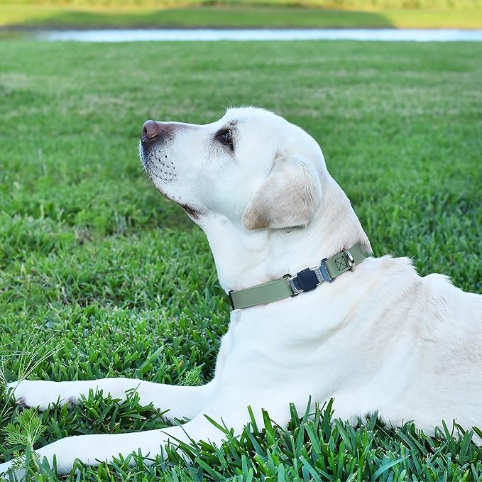 Dogline Biothane Waterproof Dog Collar with Herm Sprenger Stainless Steel Quick Release Buckle – Heavy Duty Tactical Durable Collar for Dogs – Comfortable and Safe Pet Collar, W 1" L 15-25" Sage Green