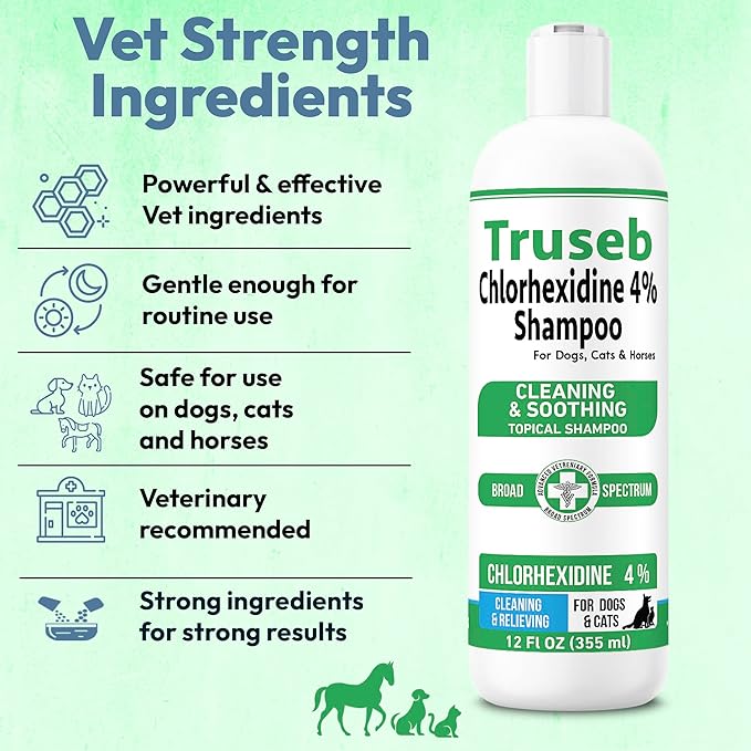 Truseb Topical Chlorhexidine 4% Shampoo for Dogs, Cats, and Horses with Plum/Blueberry Scent - 12 oz - Made in U.S.A (Chlorhexidine 4% Shampoo, 12 oz)